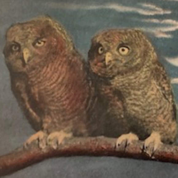 Don't Be Shy We Like Offers - Picture 2 of 3